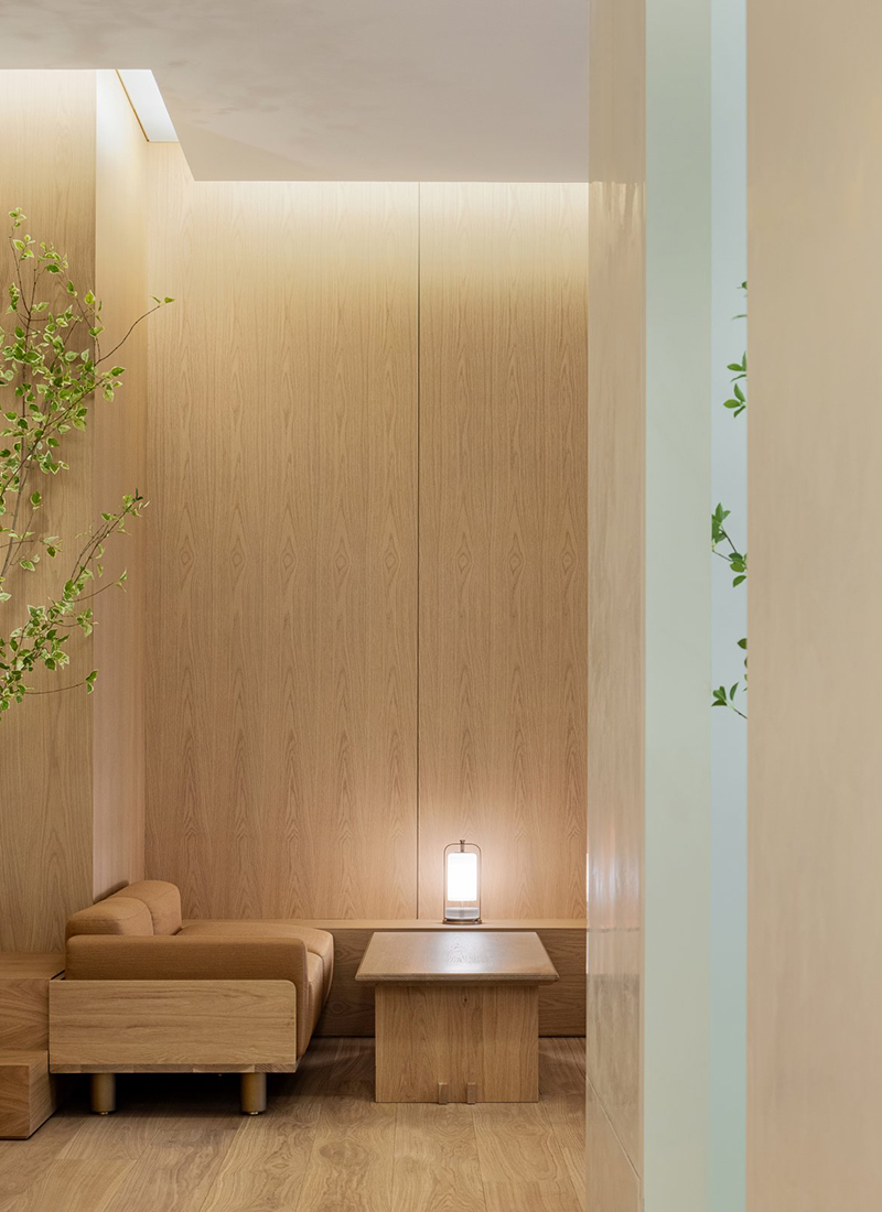  The Hyundai Jasmin Vip Lounge